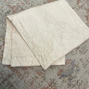 Pottery Barn Matalesse Euro Sham